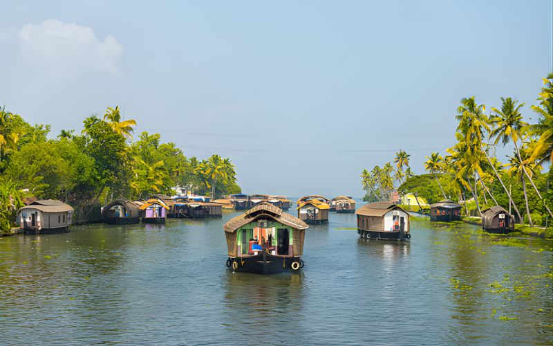 Essence of Kerala: From Coast to Canals
